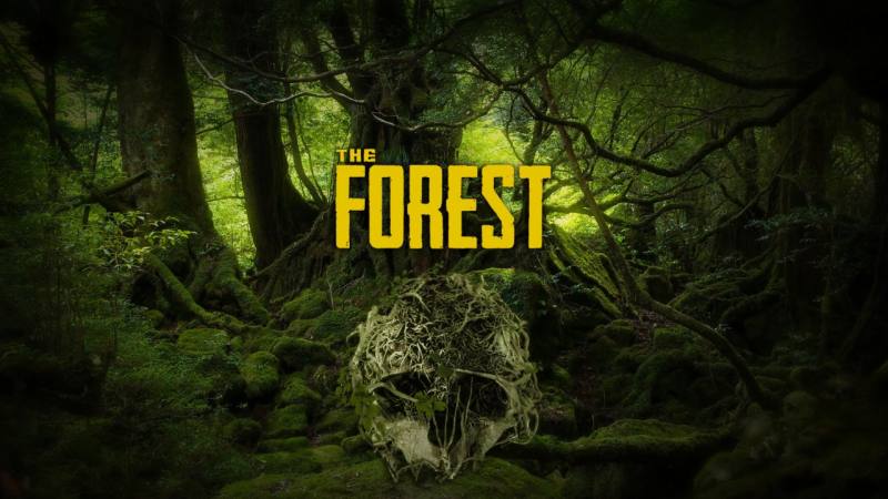 迷失森林（the forest）